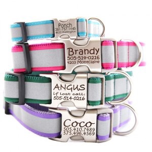 Personalized Reflective Dog Collars